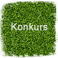 konkurs