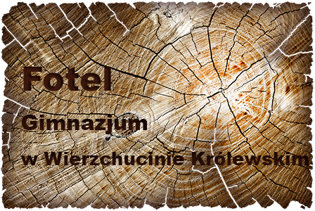 g_fotel_wierzchucin