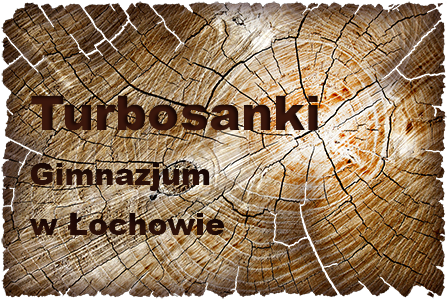 g_turbosanki_lochow