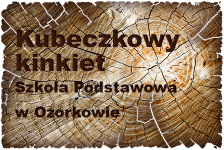 sp_kinkiet_ozorkow