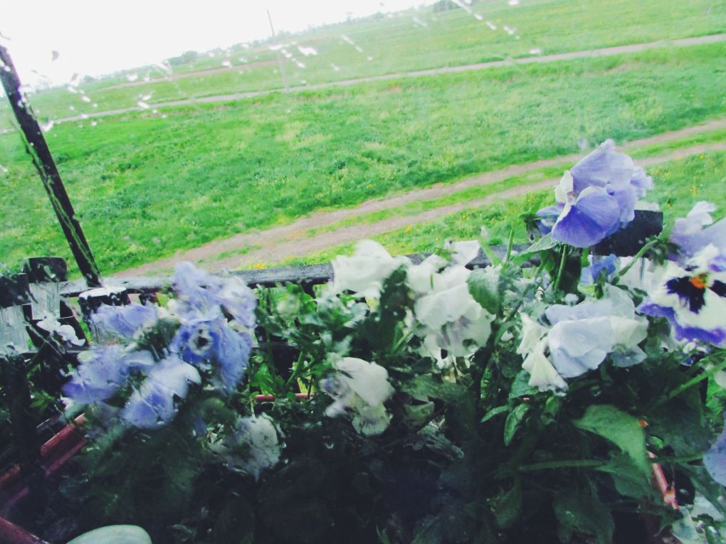 Processed with VSCO with f2 preset